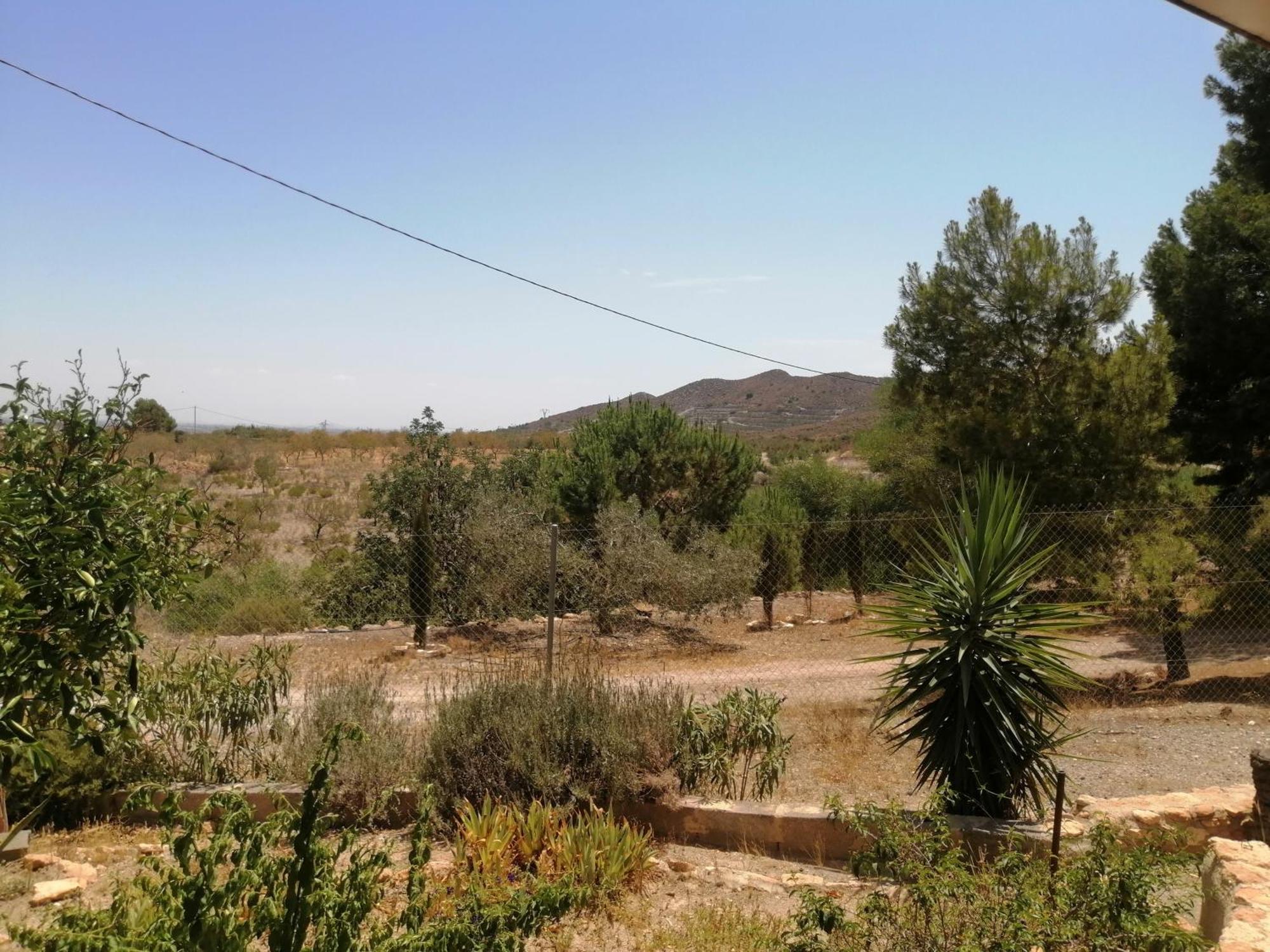 Cortijo El Pericon